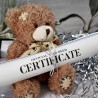 Name a Star Bear Gift Set