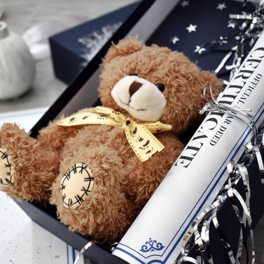 Name A Star Bear Gift Set Buy A Star Personalised Gift