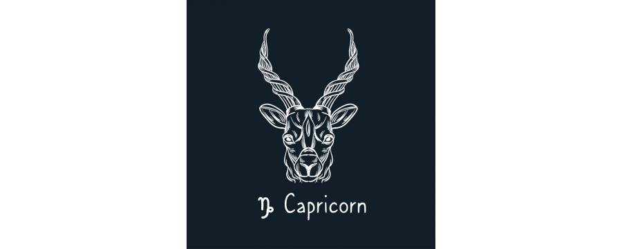 Capricorn – The Stellar Achiever